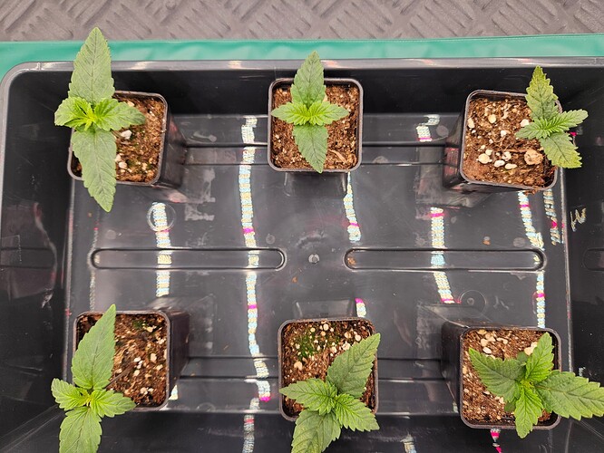Growreport Bild 21