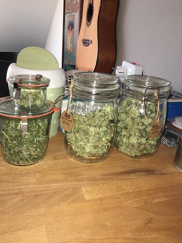 Growreport Bild 11
