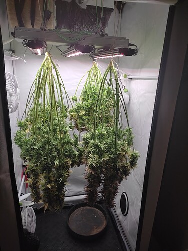 Growreport Bild 26