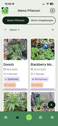 Growreport Bild 2