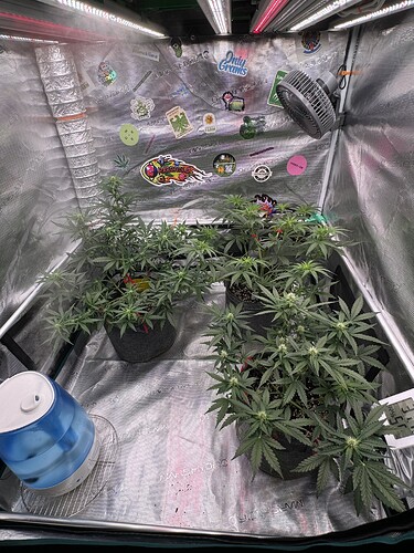 Growreport Bild 17