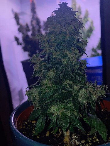 Growreport Bild 18