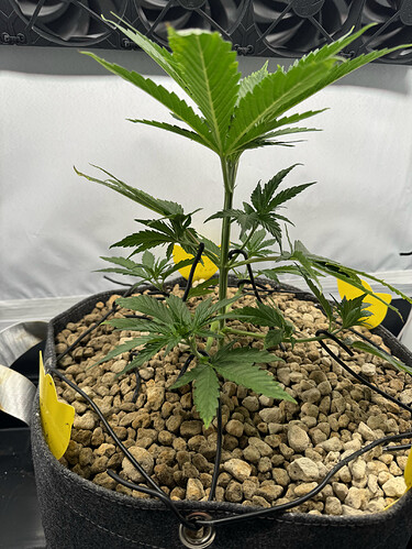 20240501_044036078_iOS