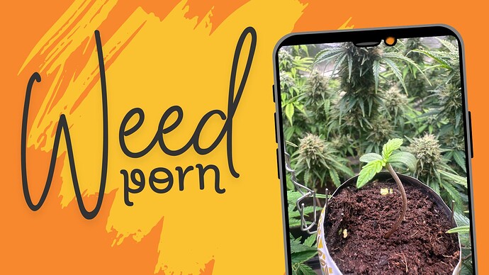 Weed-porn-1920x1080 März