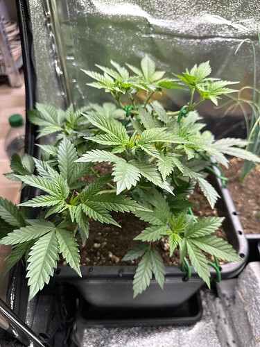 Growreport Bild 21