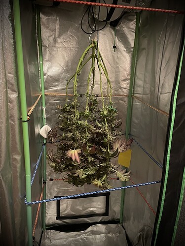 Growreport Bild 19