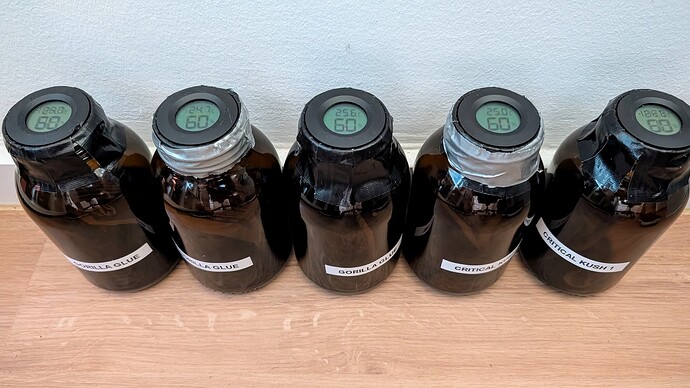 Growreport Bild 19