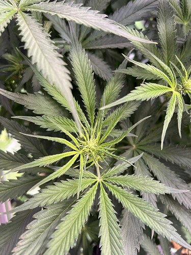 Growreport Bild 4