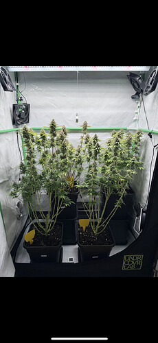 Growreport Bild 10