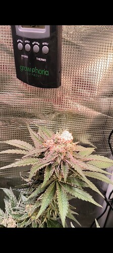 Growreport Bild 21
