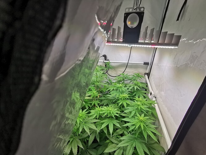 Growreport Bild 19