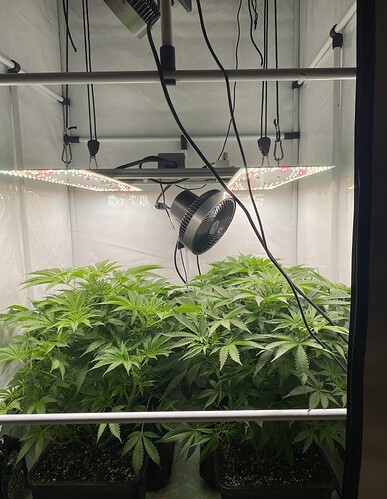 Growreport Bild 1