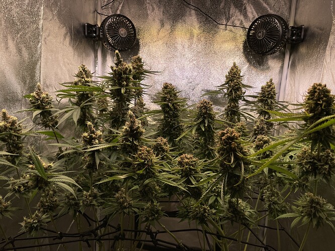 Growreport Bild 26