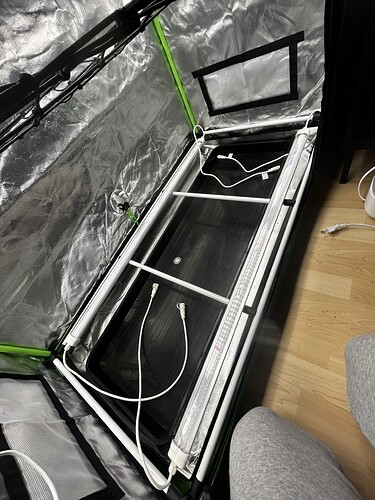 Growreport Bild 5