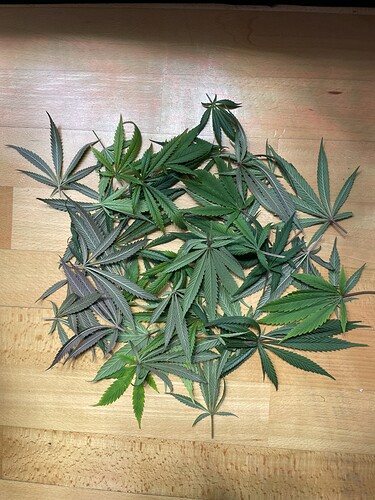 Growreport Bild 9