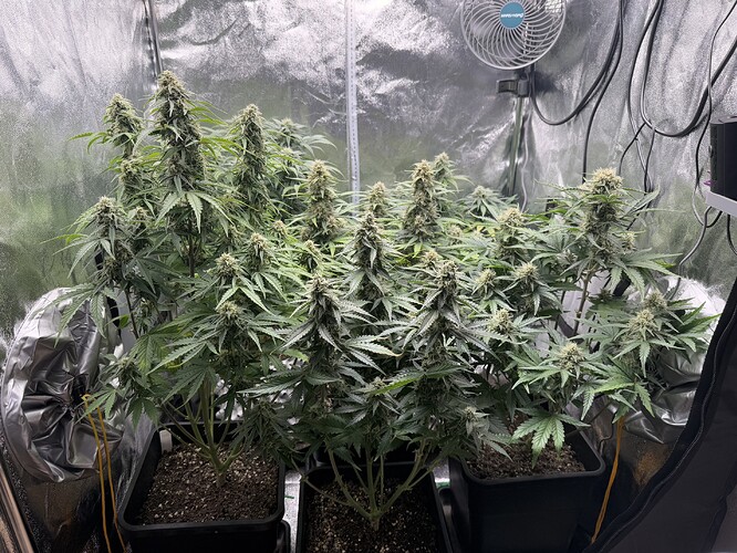 Growreport Bild 23