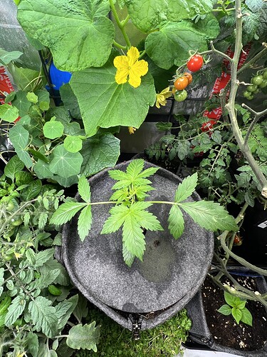 Growreport Bild 14