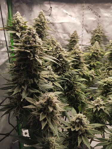 Growreport Bild 10