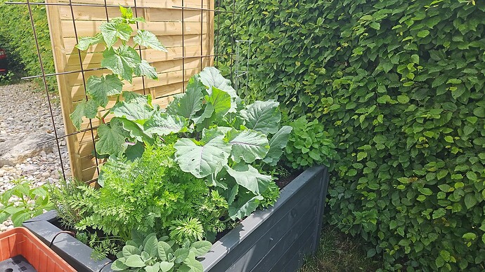 Growreport Bild 17