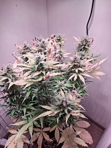Growreport Bild 14
