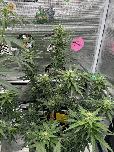 Growreport Bild 7