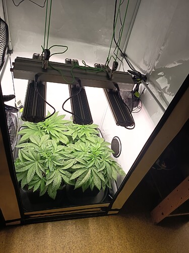 Growreport Bild 12