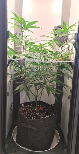 signal-2024-08-11-110941_002