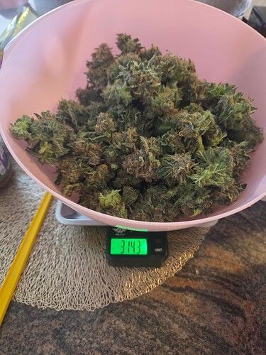 Growreport Bild 12