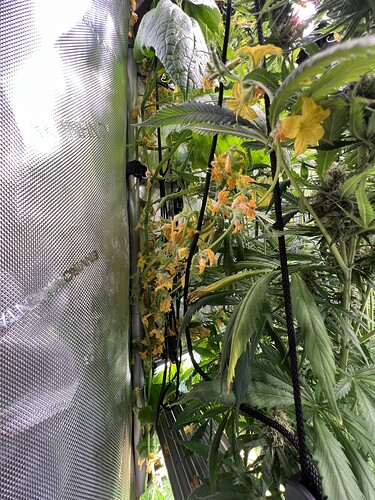Growreport Bild 4