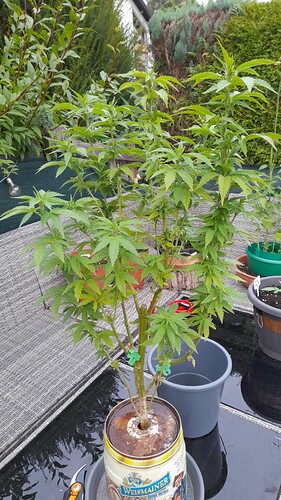 Growreport Bild 24