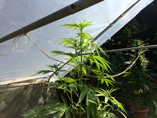 Grow26_0730_10