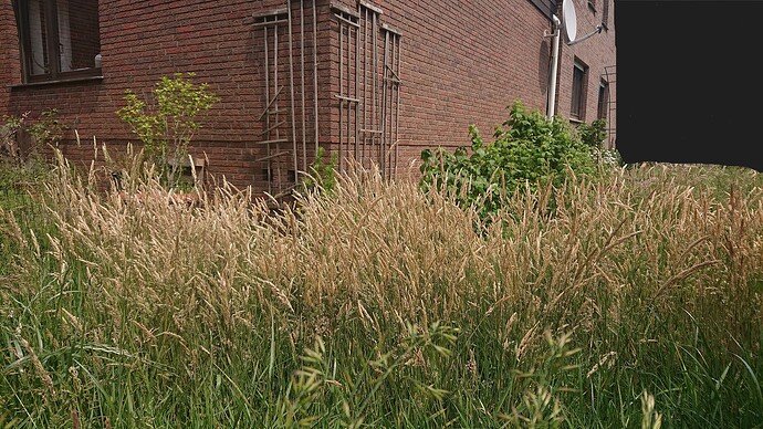 Growreport Bild 20