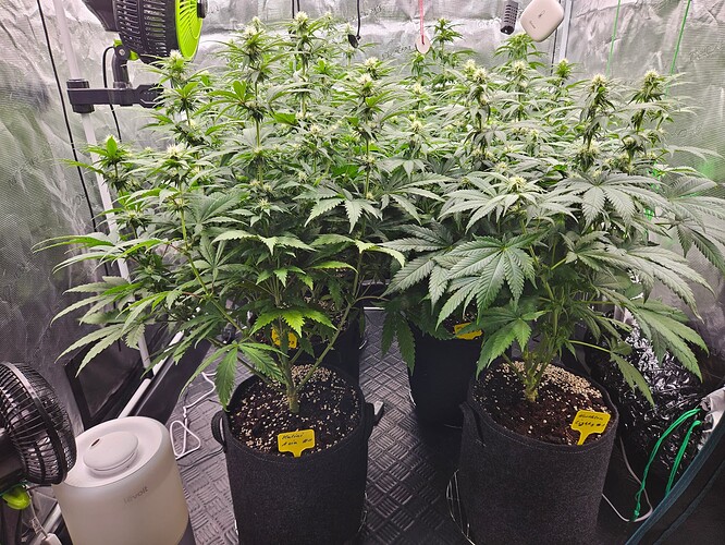 Growreport Bild 9