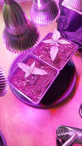 WhatsApp Image 2024-07-24 at 17.04.32 (1)