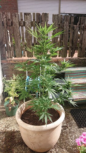 Growreport Bild 6