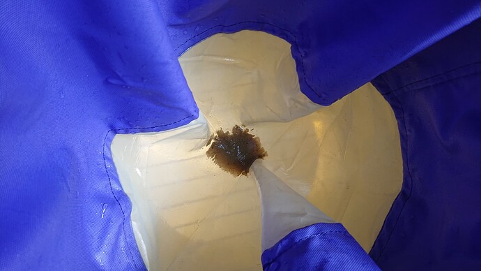 Growreport Bild 73