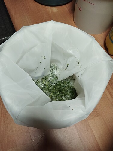 IMG_20241105_210237 - Kopie