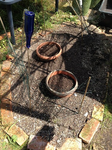 Growreport Bild 36