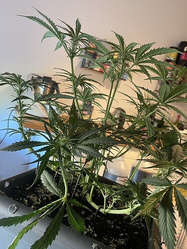 Growreport Bild 11