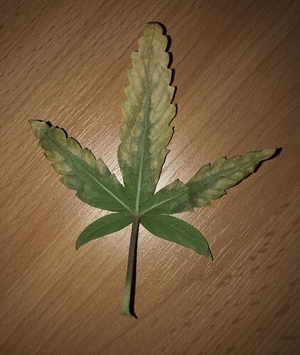 Growreport Bild 2