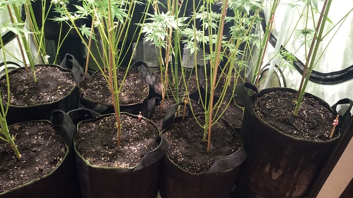 Growreport Bild 21