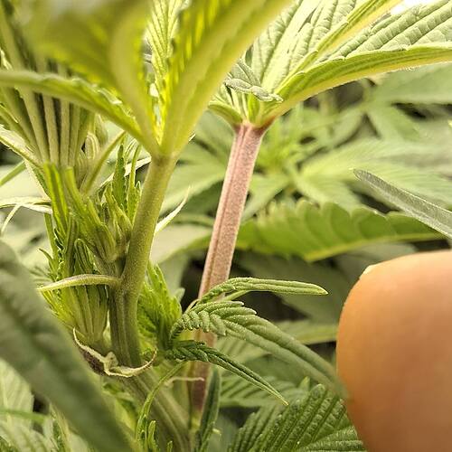 Growreport Bild 10