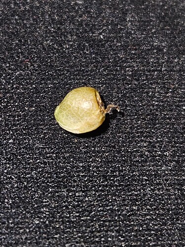 Growreport Bild 7