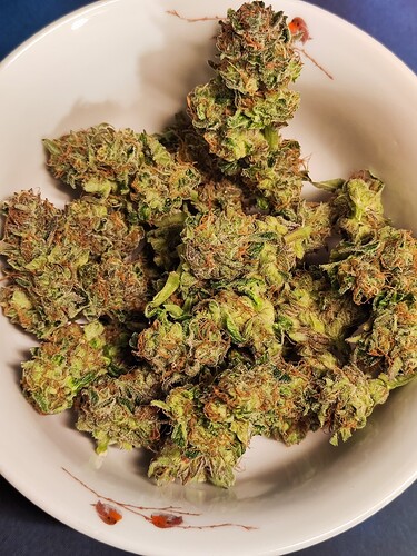Growreport Bild 5