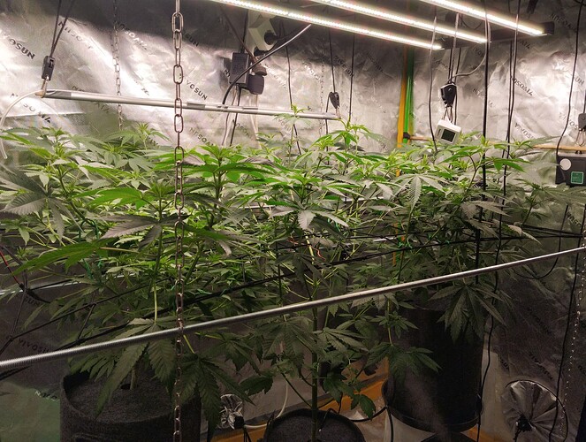 Growreport Bild 4