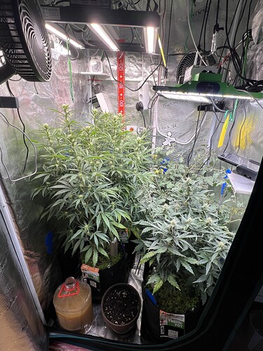 Growreport Bild 11