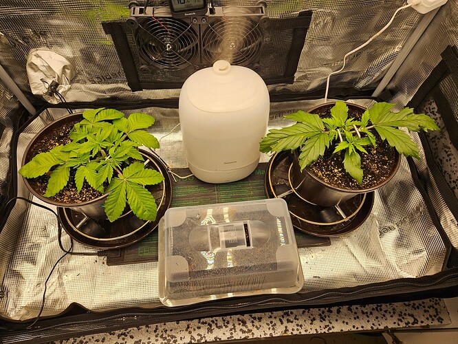 Growreport Bild 25