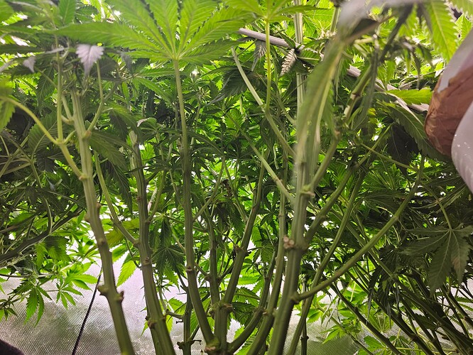 Growreport Bild 14