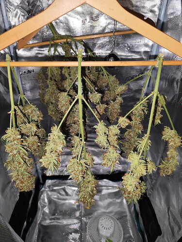 Growreport Bild 1