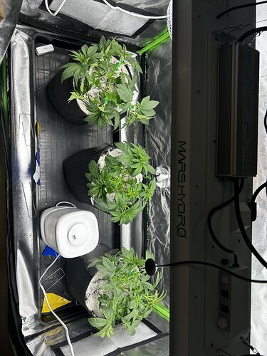 Growreport Bild 33